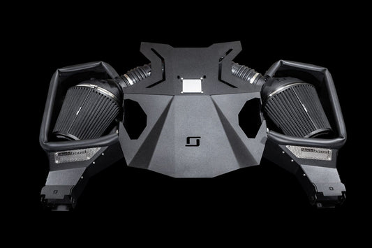 Cold Air Intake System | passend für Mercedes-Benz AMG GT/GTS/GTC/GTR (C190/R190) | Blackboost