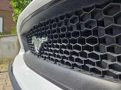 Ford Mustang 5.0 GT V8 Cabrio – V8 Power &amp; Fahrspaß pur