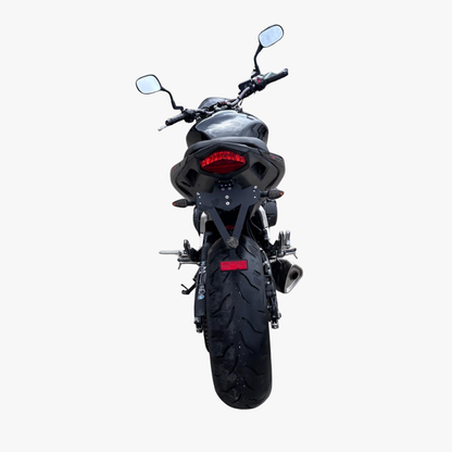 Honda CB 600 FA Hornet